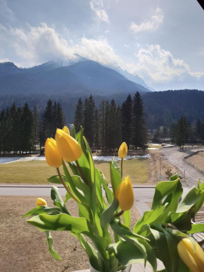 Apartma Kurji Vrh - Chicken Top Kranjska Gora Exteriér fotografie