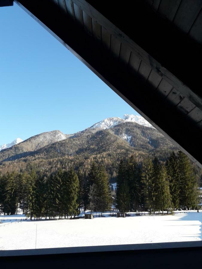 Apartma Kurji Vrh - Chicken Top Kranjska Gora Exteriér fotografie