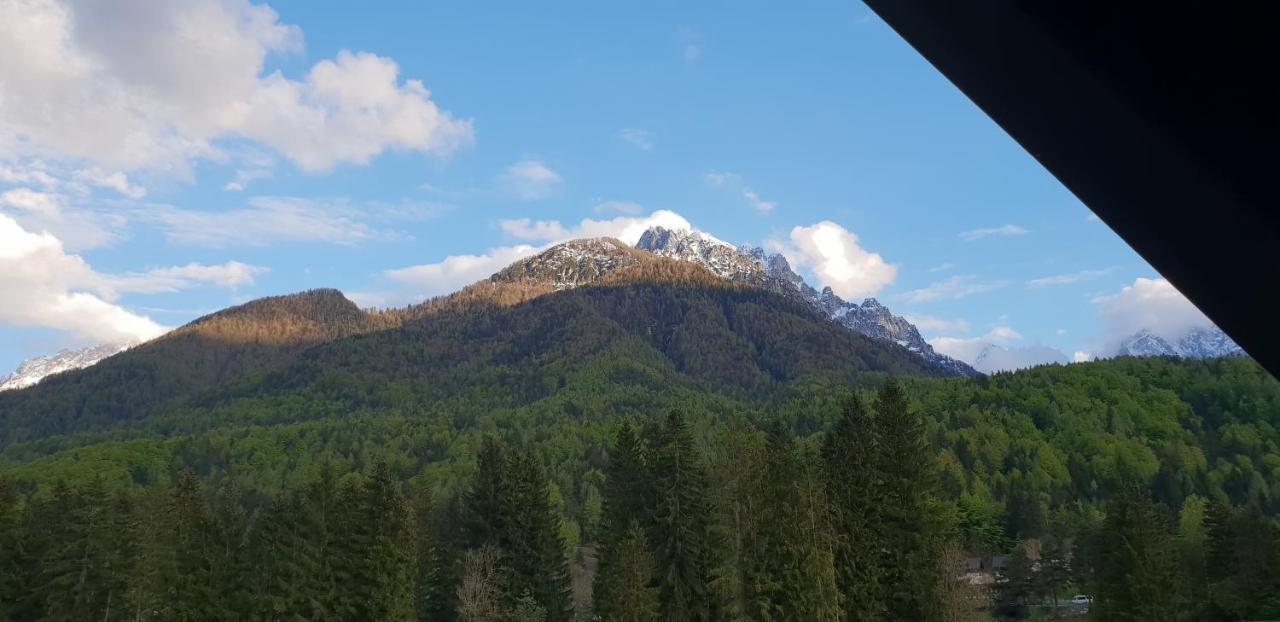 Apartma Kurji Vrh - Chicken Top Kranjska Gora Exteriér fotografie